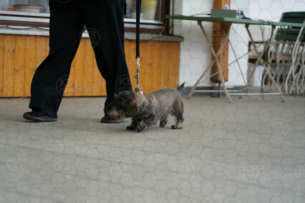 s_A9_00325.jpg